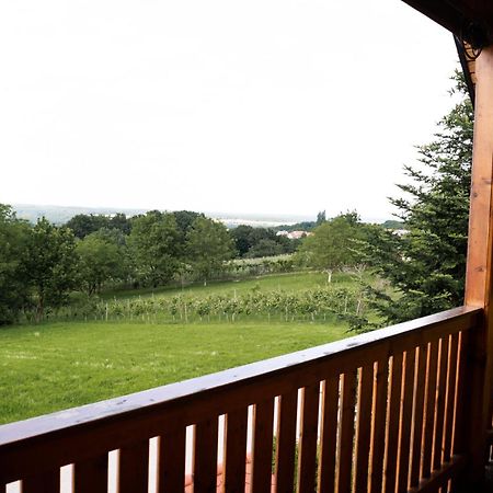 Apartma-Spa Natura Sveti Jurij ob Scavnici Extérieur photo